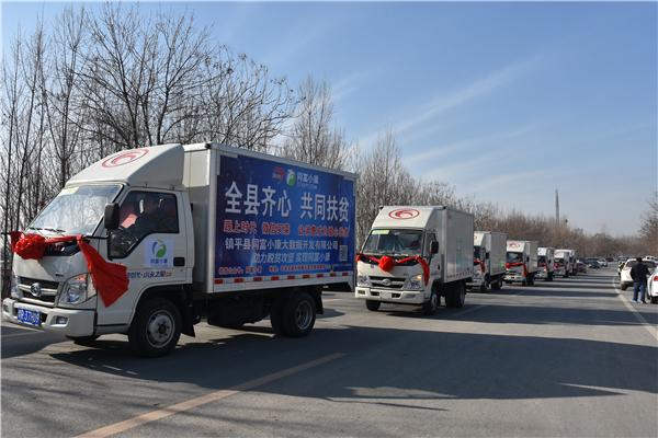 带着乡味进省城——镇平县电商消费扶贫新路径