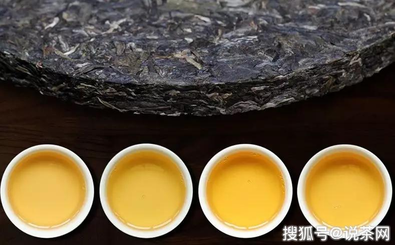 为什么普洱茶铁饼以生茶居多？