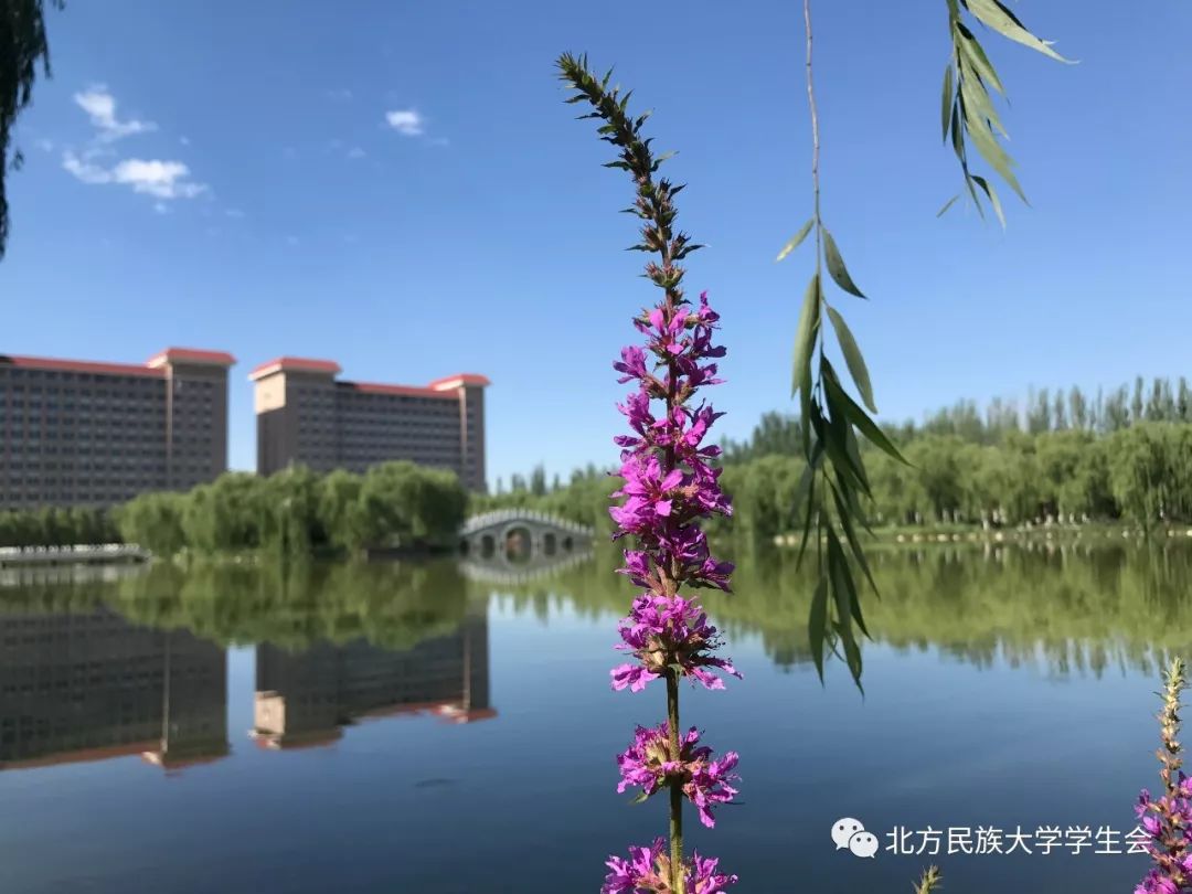 双微互动节最美北方民大摄影作品评选三十强新鲜出炉欲知结果如何等你
