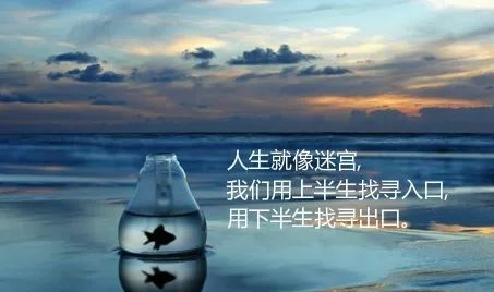 0e2685e5fb6f4b6ebe91c650febf5d2d.jpeg