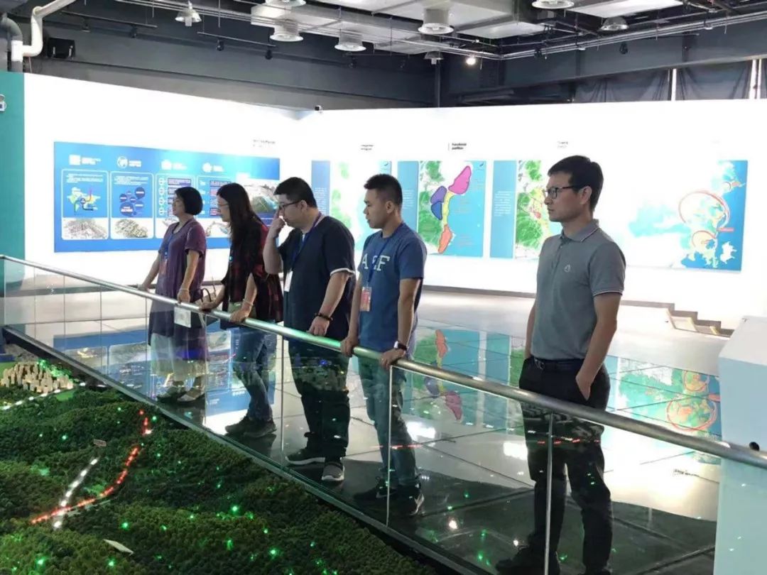 福建金峰镇gdp_金港城商业中心