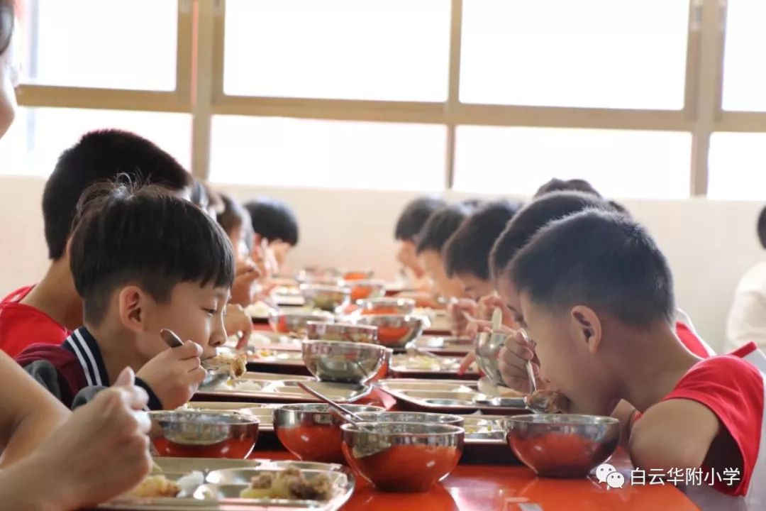 【规范有序 文明就餐】白云华附小学部食堂文明就餐礼仪