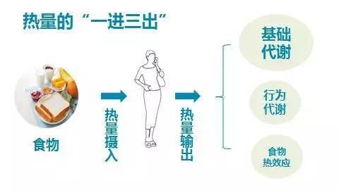 快速降低血糖的有效方法 177ab52397ed419c89e9e282db3263ef.jpeg