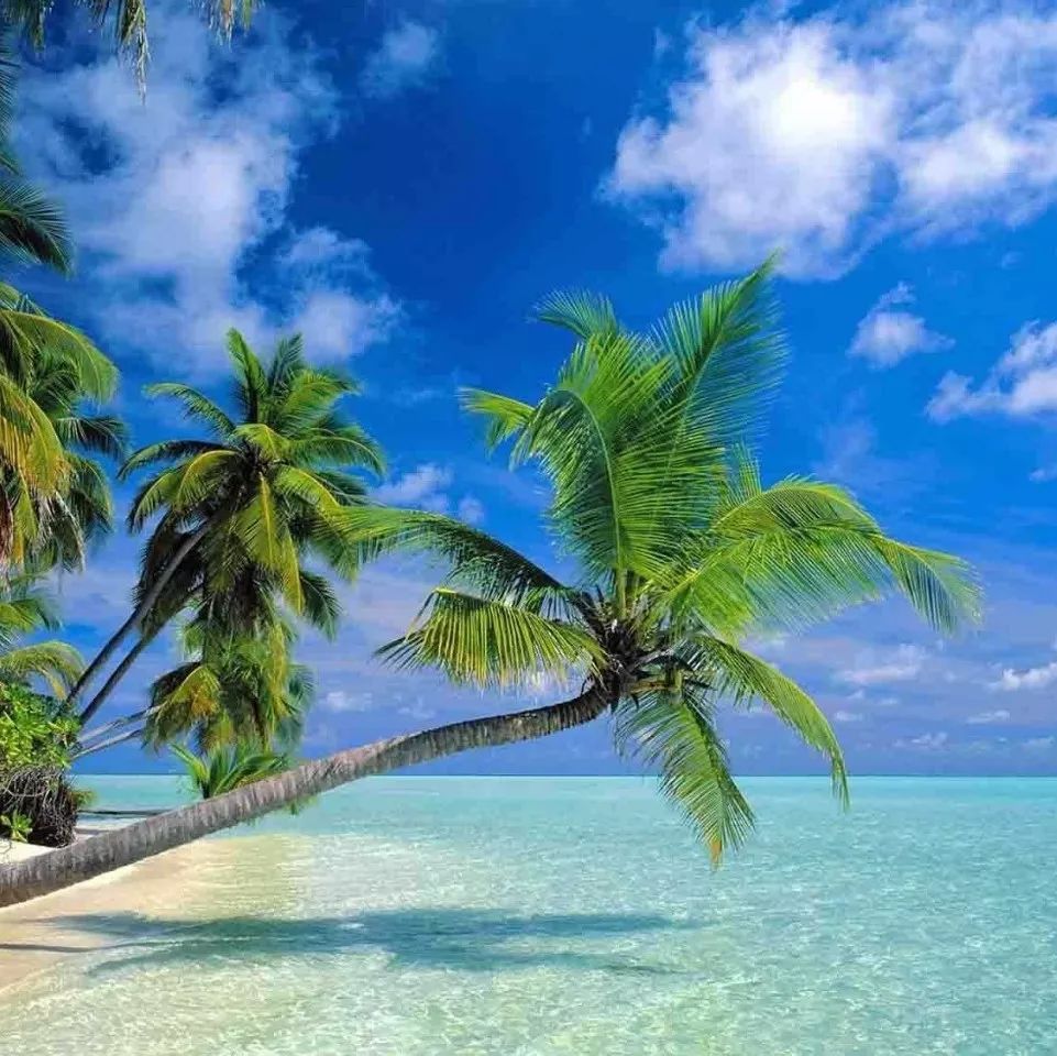 尽收眼底猜一个四字成语_正常眼底图片