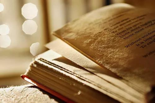 博士|如何完成一篇高分论文？