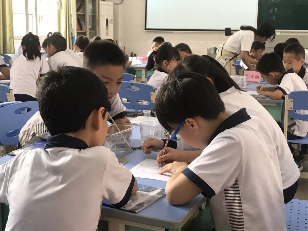 【内生教育 个性发展】科学课堂展风采,相互学习促成长 ——记科学