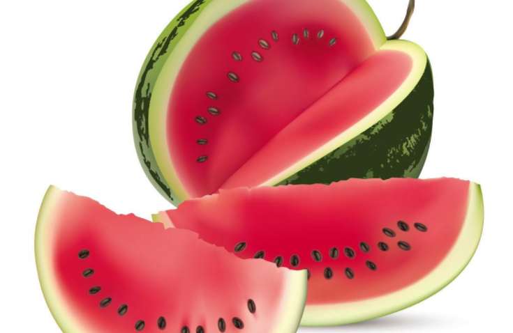 西瓜怎么种植才会最好 37a08b11da344babbfafb376696a0037.png