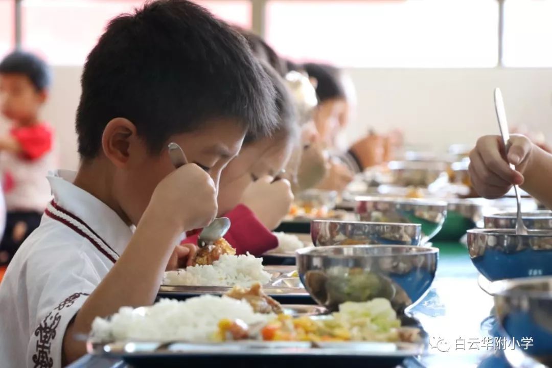 【规范有序 文明就餐】白云华附小学部食堂文明就餐礼仪