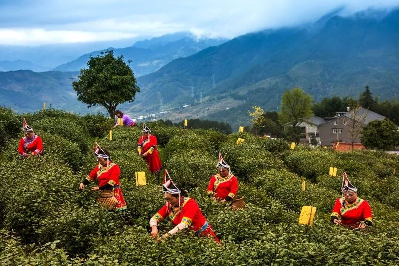 景宁县人口_景宁人速看 浙江多地发布地质灾害气象风险预警(3)