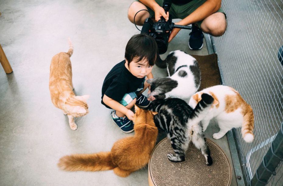 日本36岁癌症奶爸,3年拍下儿子千张照片:明知