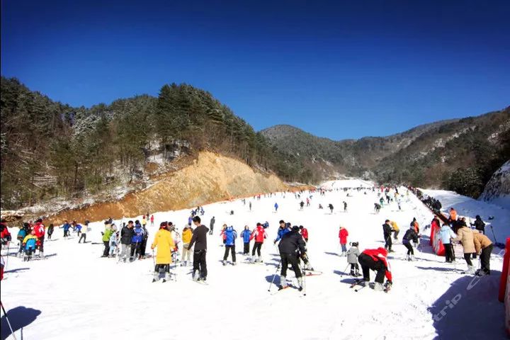 滑雪人口_哈尔滨 亚布力 雪乡 长白山7日5晚跟团游 长白山免费升级一晚五星温(2)