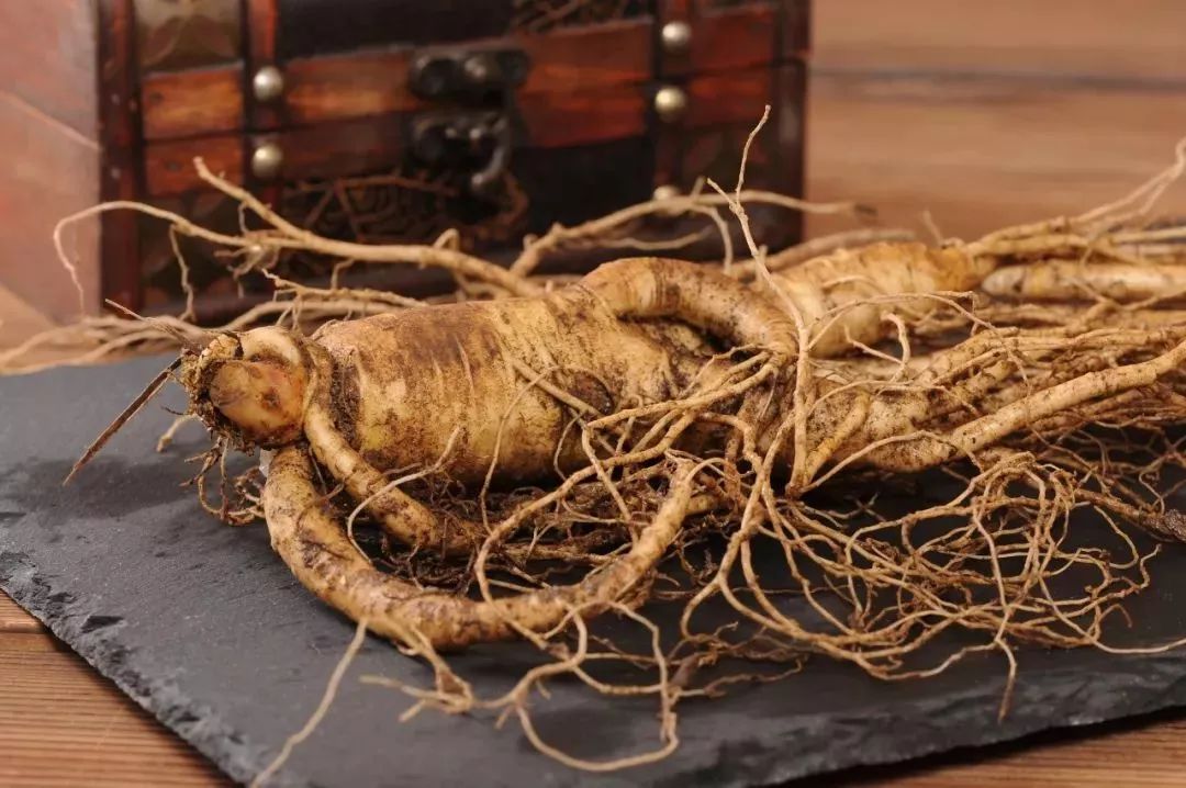 山上人参的价格 547d7d42a6184a67b64273a48f2fc1ad.jpeg