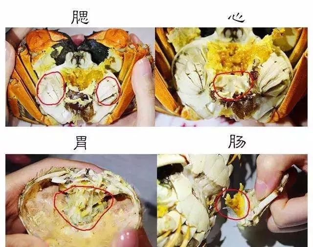 慎吃一口气吃8个女子差点丧命正大量上市