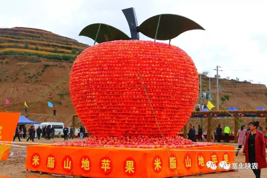 6家企业买2230.2万元米脂山地苹果