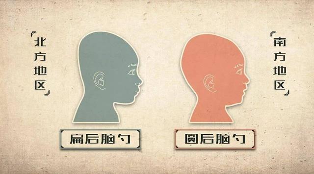 新生儿后脑勺扁平,原因是什么?