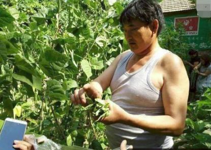 大衣哥家的院子 9be8ed9909804e63a568b37a746fe3e5.jpeg