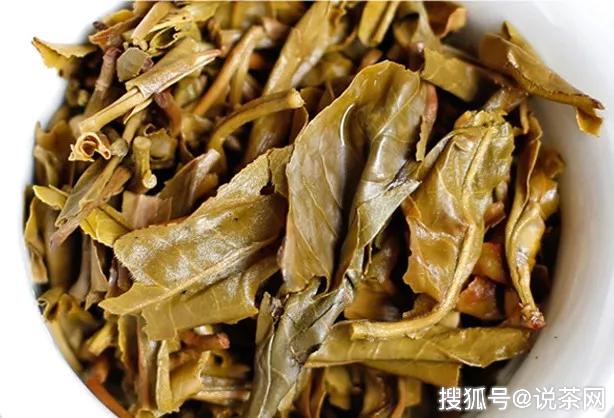 为什么普洱茶铁饼以生茶居多？