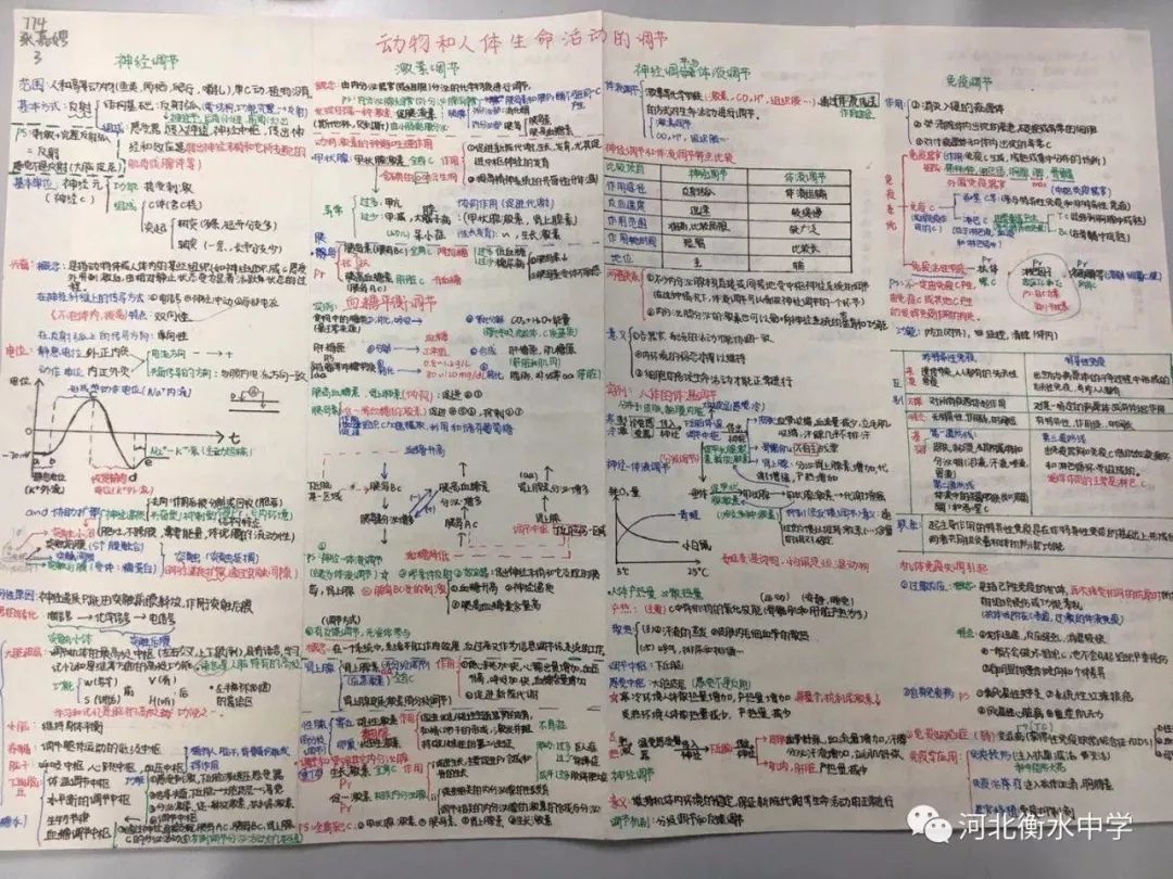 成语作法自什么_成语故事图片(3)