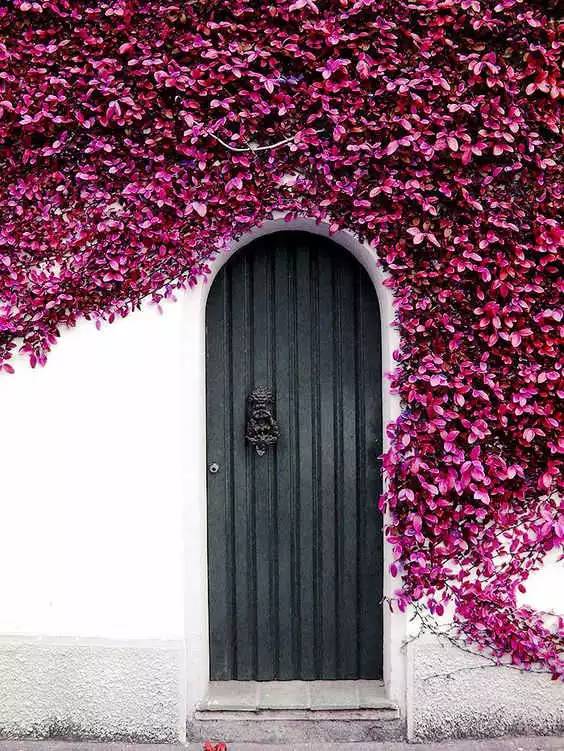最漂亮的门_那些来自全世界的门 欧佩克门窗