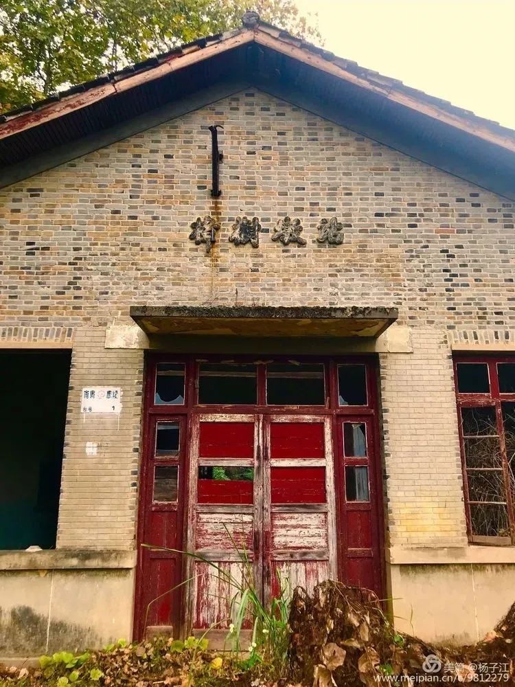 樟树墩人口_樟树