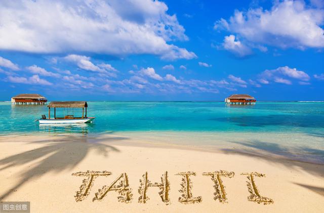 梦境中的浪漫邂逅，与心仪之人共游海豚湾