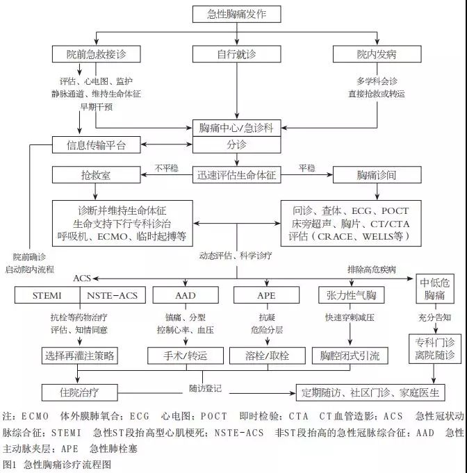 张力性气胸该如何紧急处置?