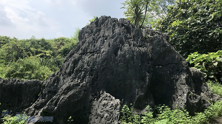 广西边境四崇左石景林