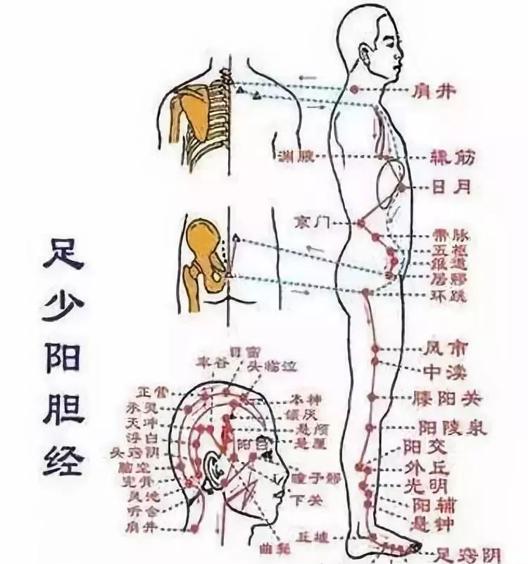 人体14条经络你都按通了吗