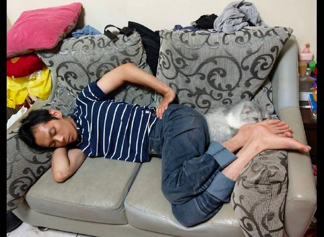 主人躺在沙发上睡觉猫咪鼻子正好对着他的脚猫感觉要窒息了