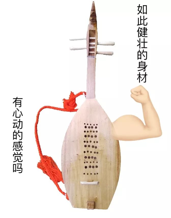 一大波表情包来袭!带你认识"非遗般"的民族乐器