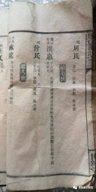 坏氏家族有多少人口_全国老人有多少人口(3)