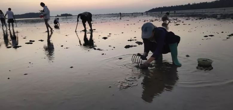 吃新鲜海鲜还不用花钱钦州这个地方晚上经常爆满