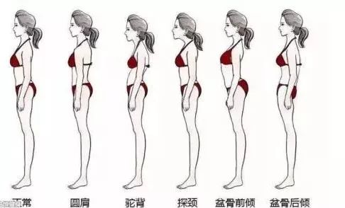 越练背越薄!9个动作每天练,帮你轻松瘦出"美人背"