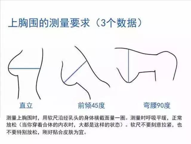 内衣尺寸量法_量内衣尺寸示意图