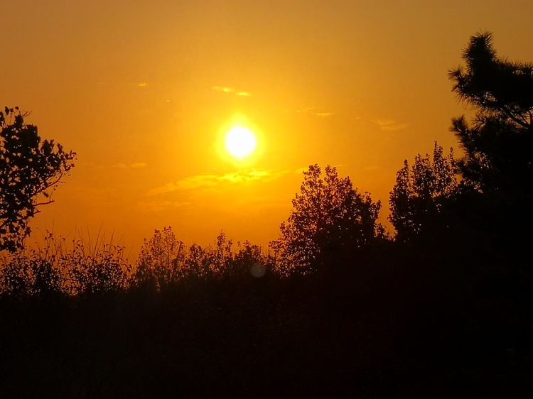 醉在暮秋夕阳下(诗三首)