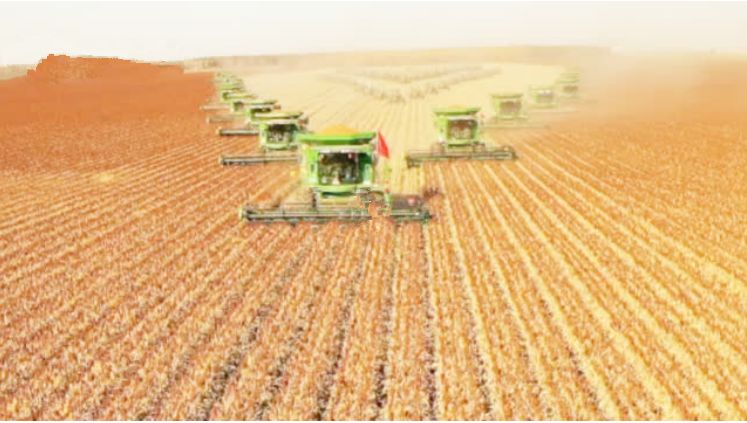 轻风过岗 67215a7fb0534f9db0a756681da25415.jpeg