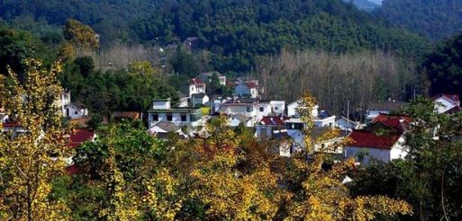 八公山镇下郢村(豆制品加工)14黄山市祁门县芦溪乡芦溪村(红茶)15安徽