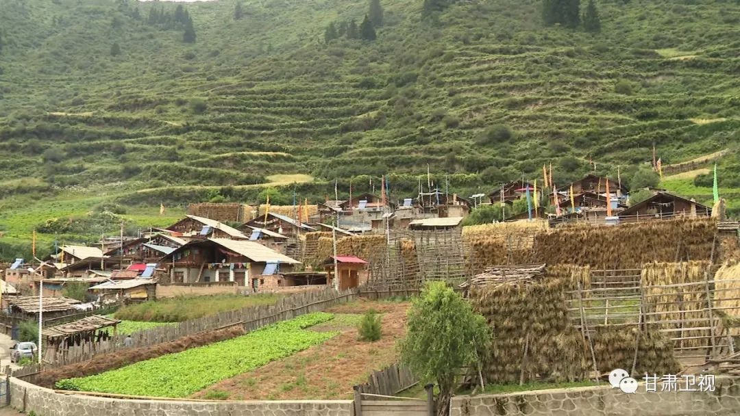 喀左人均耕地_牛耕地图片(2)
