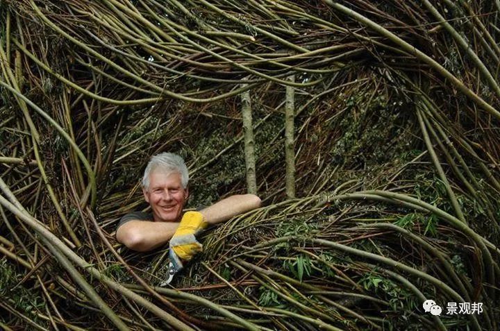 树是怎么长大的步骤 7ee8d2989ed54fac960c803b8829c2db.jpeg