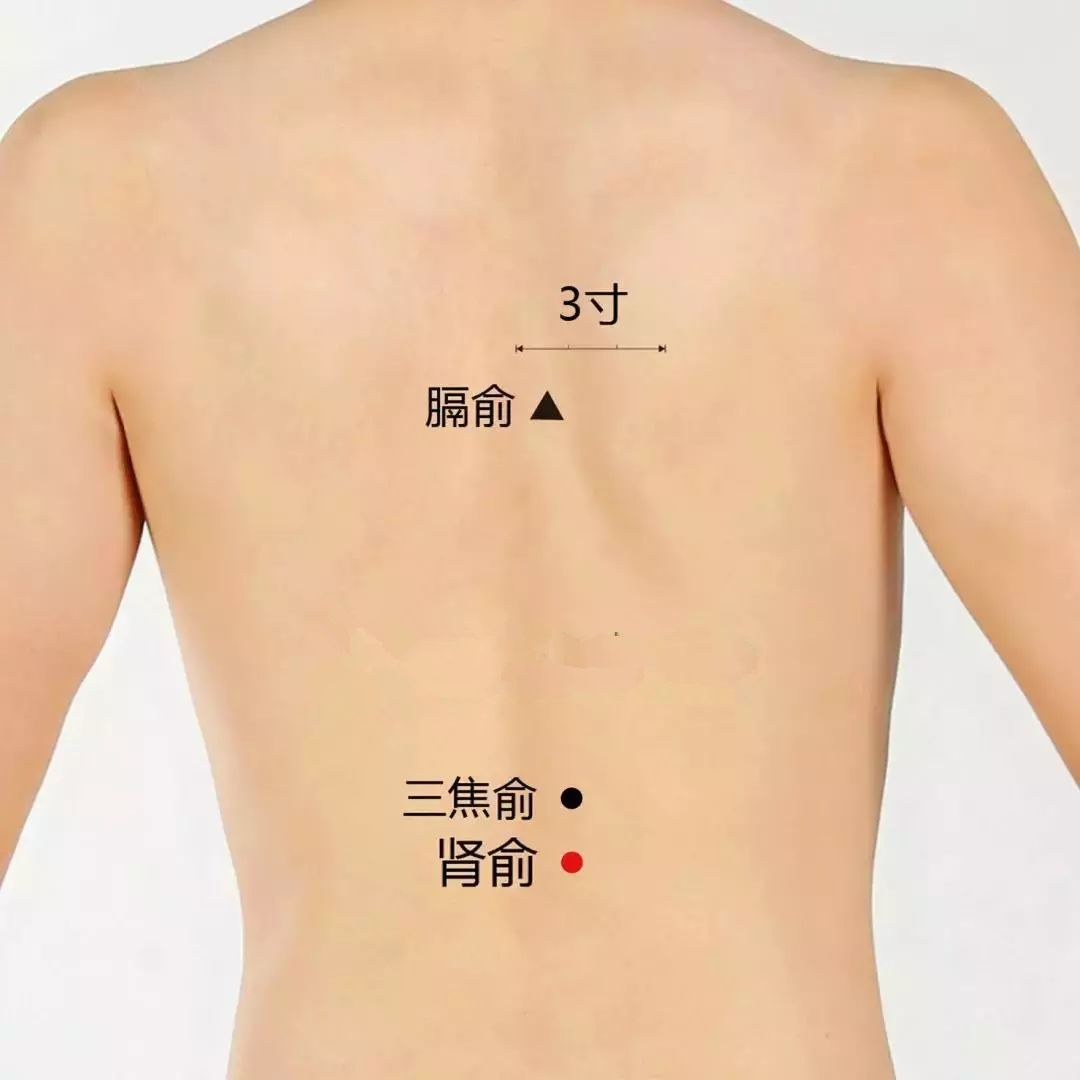 经常背部按摩能变薄 8c267a27ef3b437495cab5ca45b3bafa.jpeg