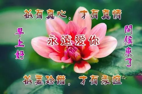 8edaec45187d43fa8fba750fd139cdda.jpeg