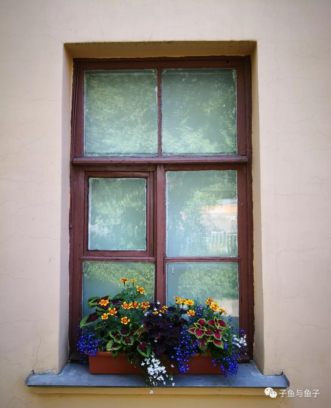 【子鱼专栏】子鱼:诗的滋味是什么?尝尝第一道