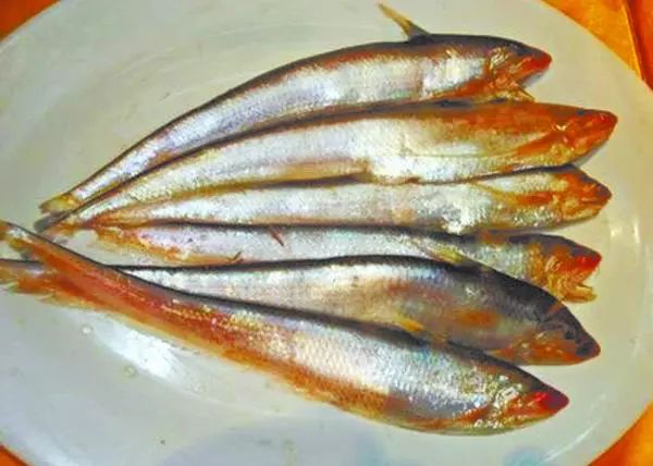 鱼多久能孵出来 99ada858a826484f9b1bcd4a515d482c.jpeg