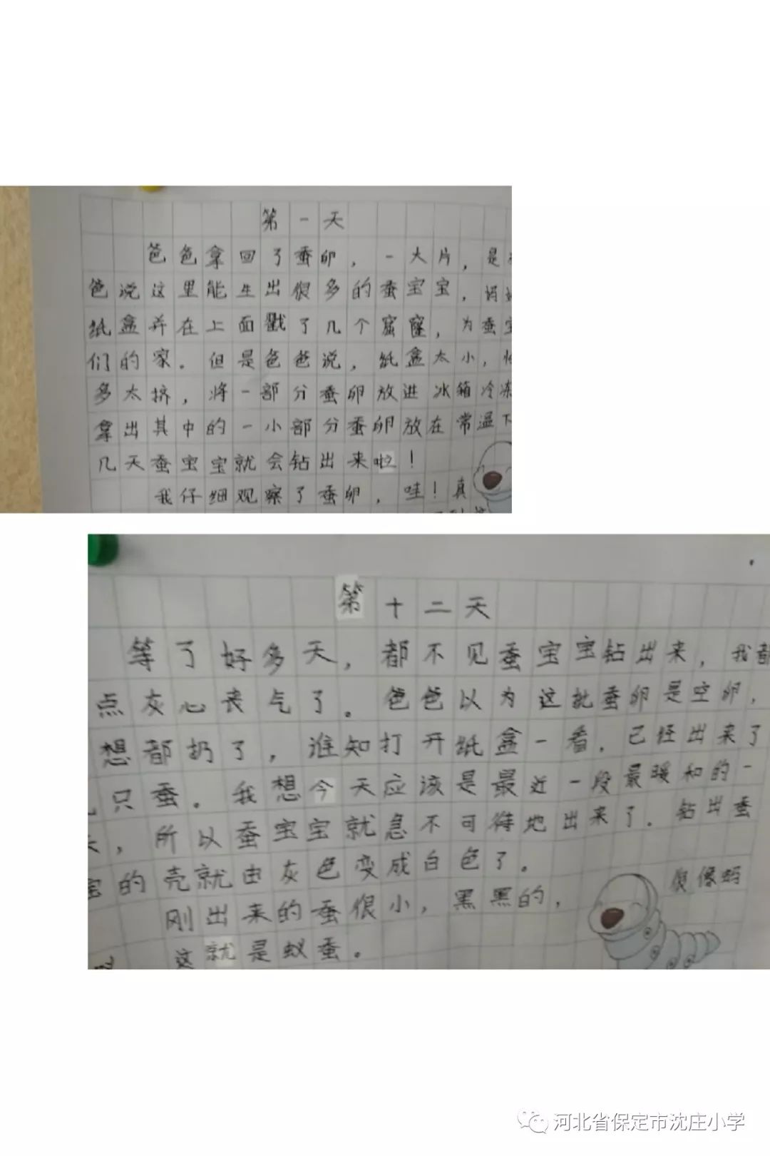 蚕宝宝简谱_蚕宝宝歌曲简谱(4)