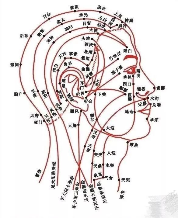 可应用于脑梗塞初期及预防高血压脑出血等病