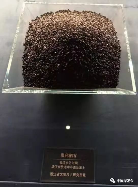 良渚与古代中国玉器显示的五千年文明展参观有感