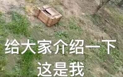 游戏推荐:玩游戏斗图两不误,这些表情包和游戏一样火