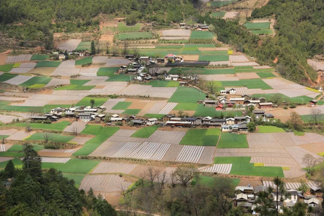 珠村人口_人口老龄化(3)