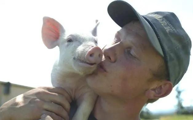 4. 想要做好自己的属猪之人属猪之人的性格会比较温顺,在同人相处的时候