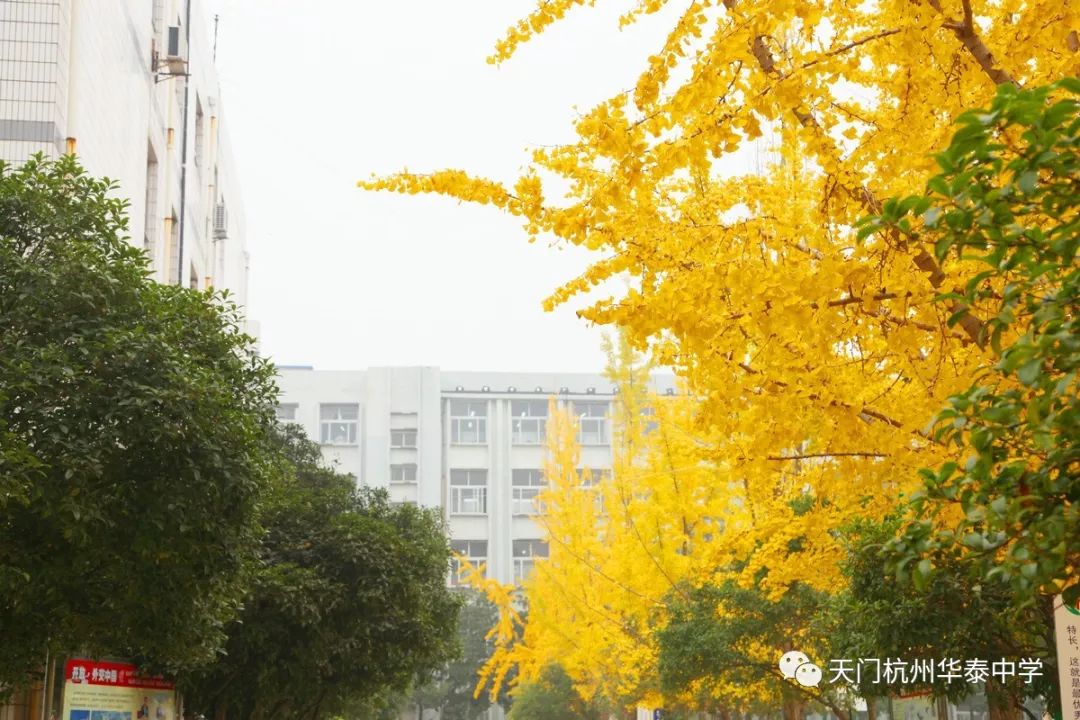 【招贤纳士】天门杭州华泰中学2019-2020学年